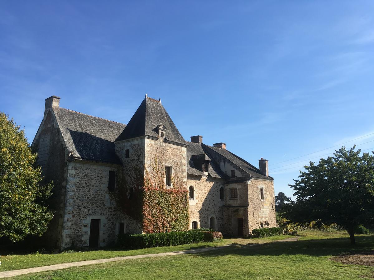 Manoir De Jouralem Bed & Breakfast Blaison Exterior foto
