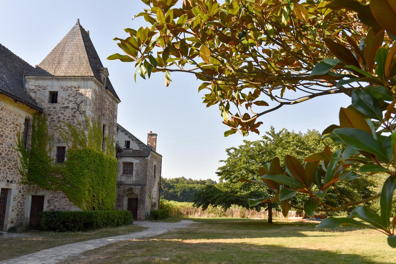 Manoir De Jouralem Bed & Breakfast Blaison Exterior foto